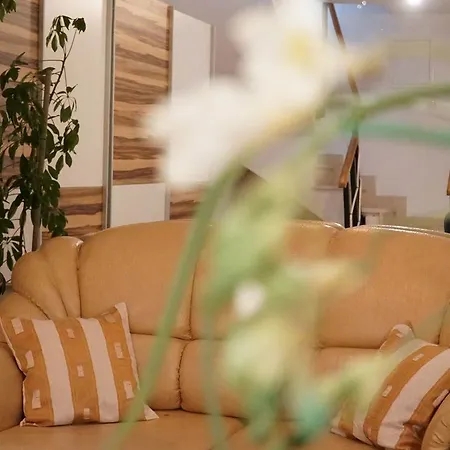 Duplex Tinel Apartman *