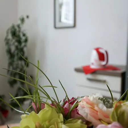 Duplex Tinel Apartman *