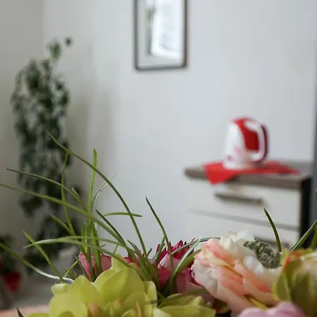 Duplex Tinel * سبليت