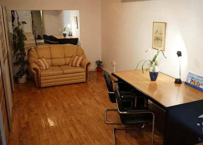 Duplex Tinel 스플리트