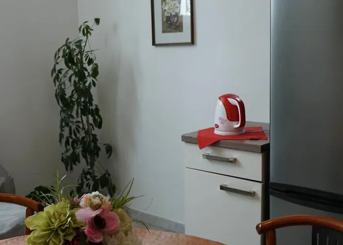 Duplex Tinel * 스플리트