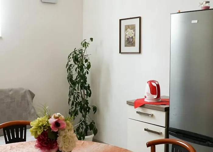 Duplex Tinel * 스플리트